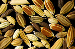 Likely Outcome Of A Chapter 13 Bankruptcy