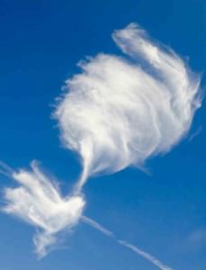 chapter 7 bankruptcy time to finish